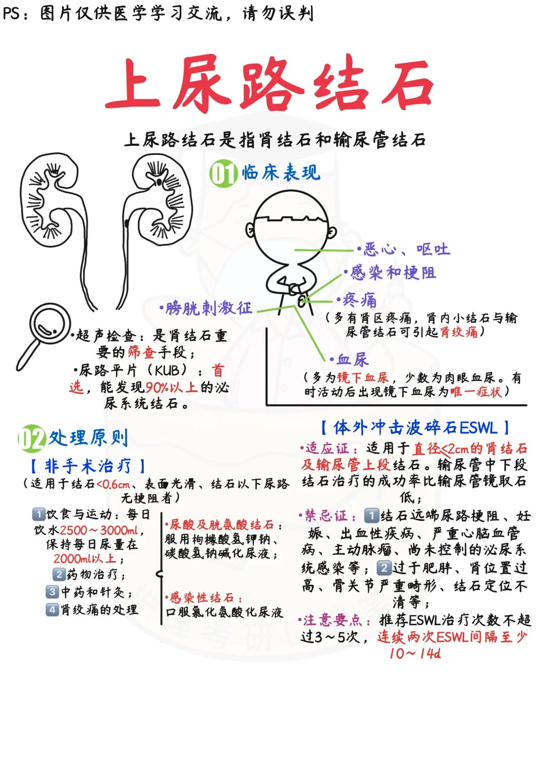 📒医学生笔记｜一文搞定上、下尿路结石✅码住