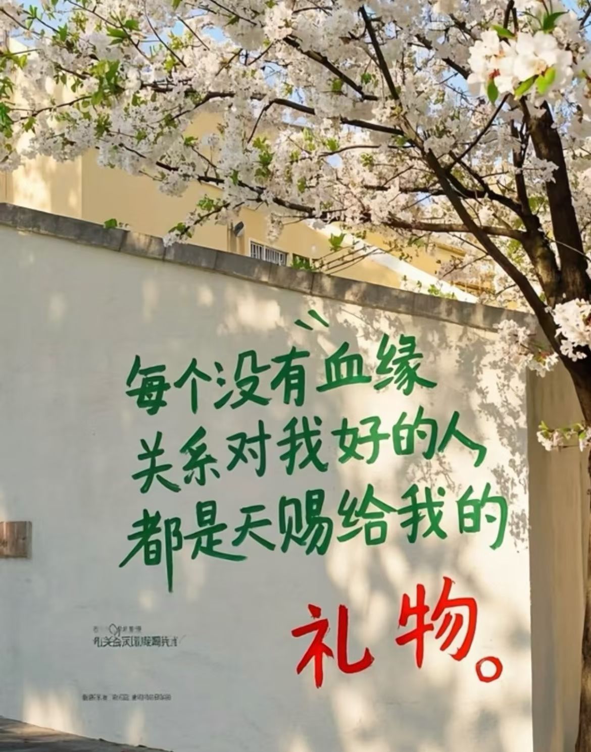 感谢所有的遇见对的人给了我温暖错的人教会了我成长，感恩节快乐