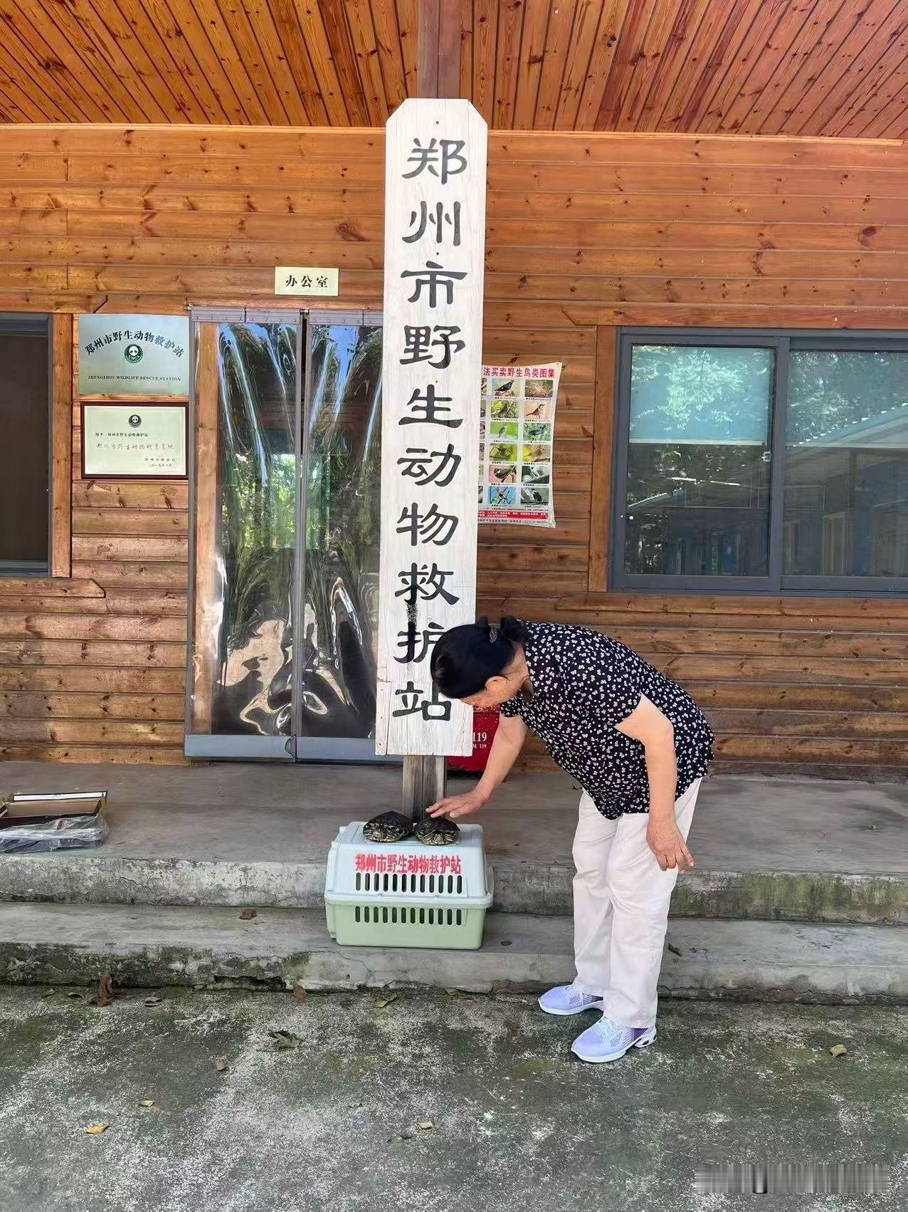 2026年8月9日，郑州市中原区爰心市民李女士移交给郑州市野生动物救护站两只外来