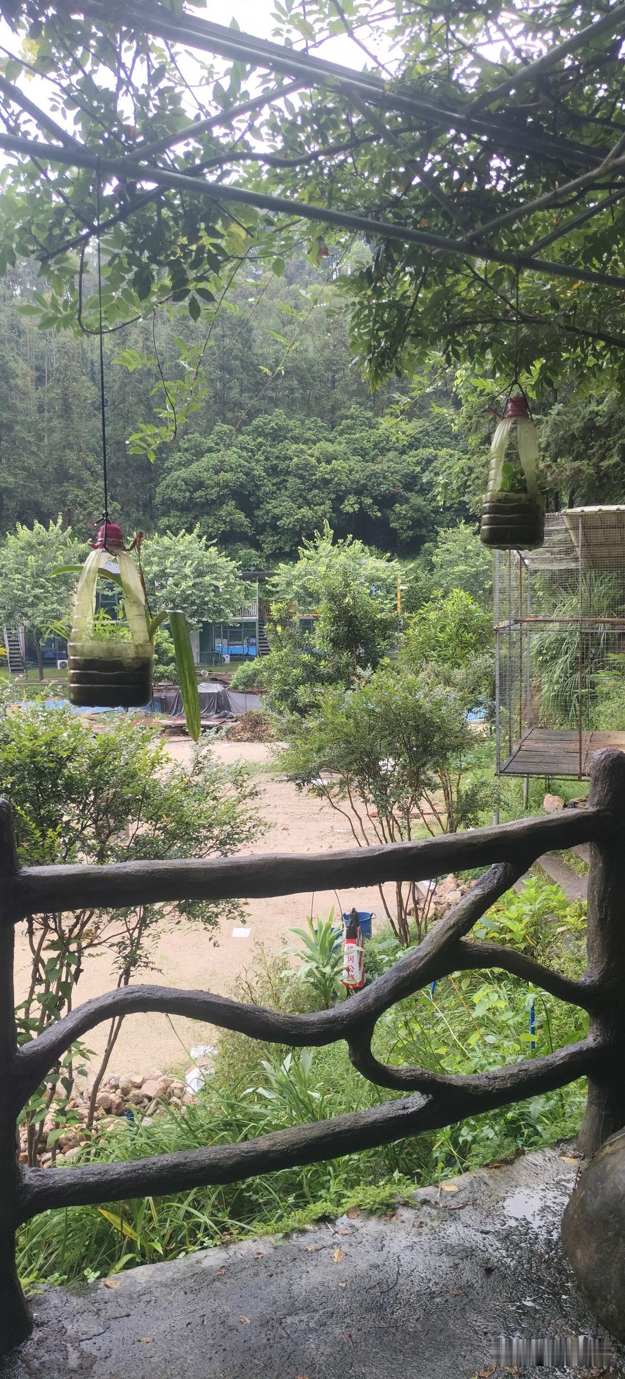 早餐店50岁的单身老板居然说“这辈子不懂得拍拖是什么感觉”
我听了之后很惊讶，反