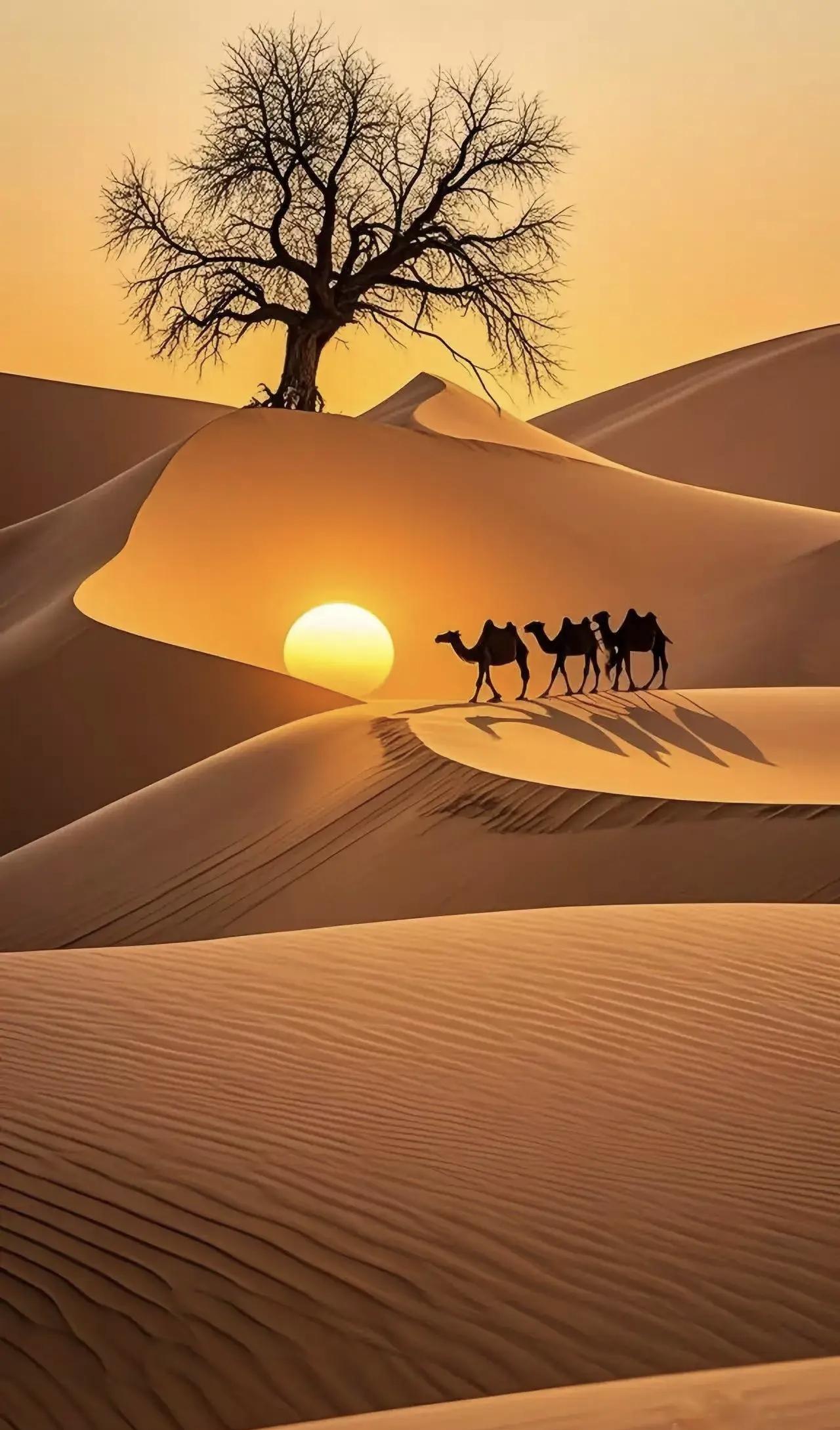 《七律·初冬》
作者：转转看到



朔风乍起万木箫，
琼花漫飞长空寥。
北国至