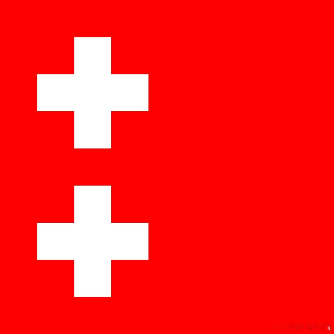 西洋历史文化鱼缸 历史知识 大家知道这是历史上哪个欧洲国家的国旗吗？ 