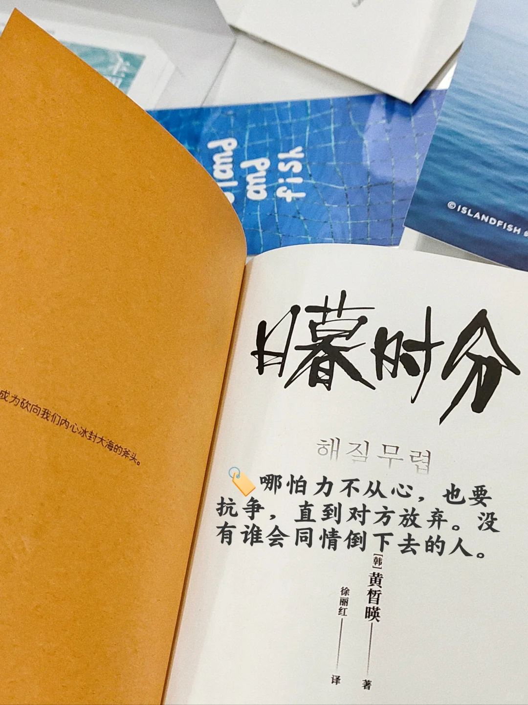 🔥人物素材孙颖莎｜一例十用