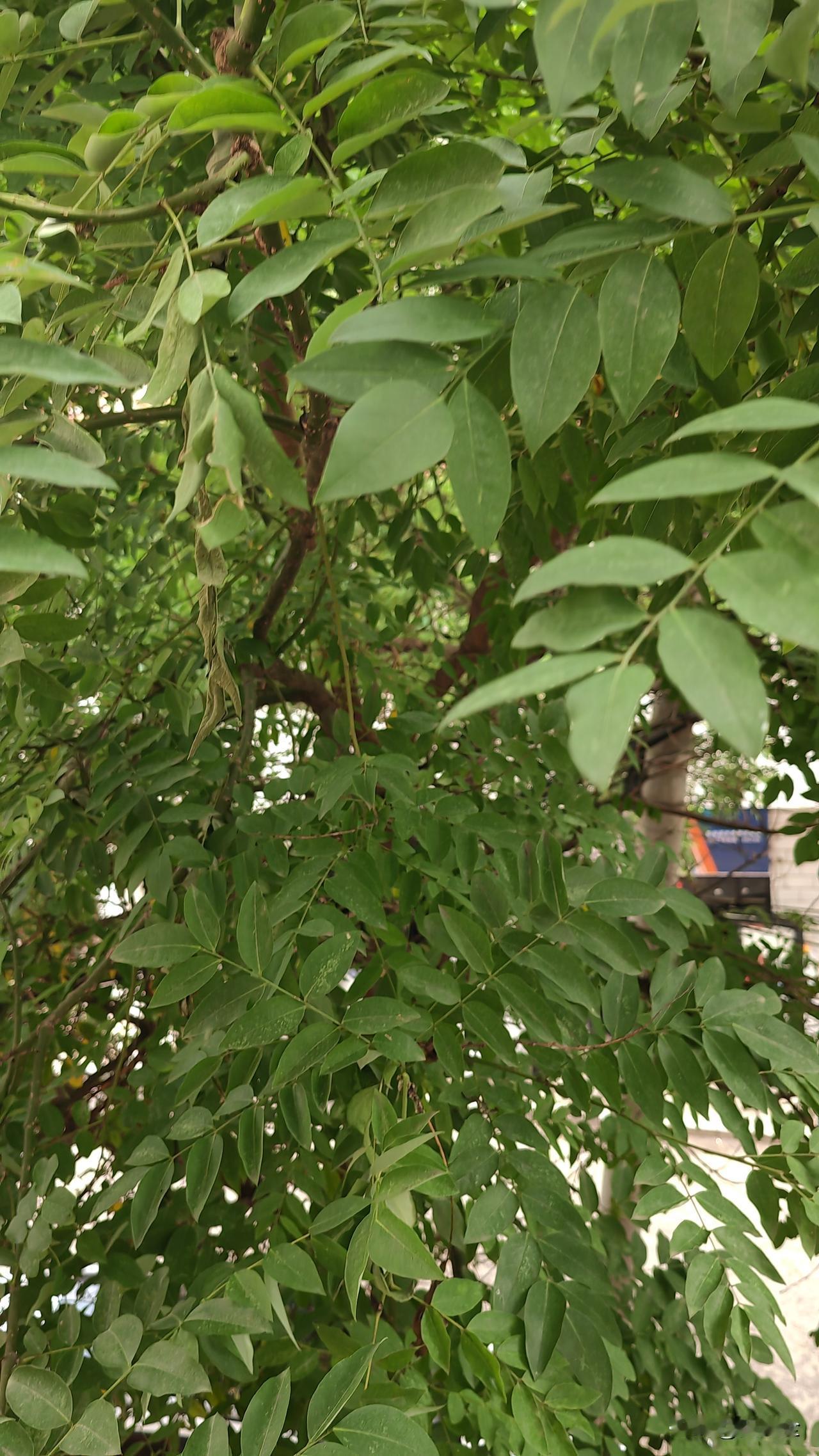 孝敬老人，从细小做起。
     和朋友聊天，闲谈本地作者写的书籍，他说一直在朋