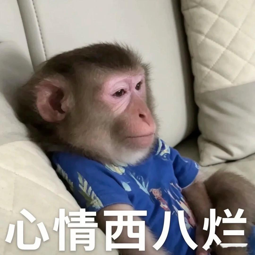 兄弟们，最近这几场公推确实拉胯了，连我自己都觉得憋屈！ 看着一路陪我走过来的铁杆