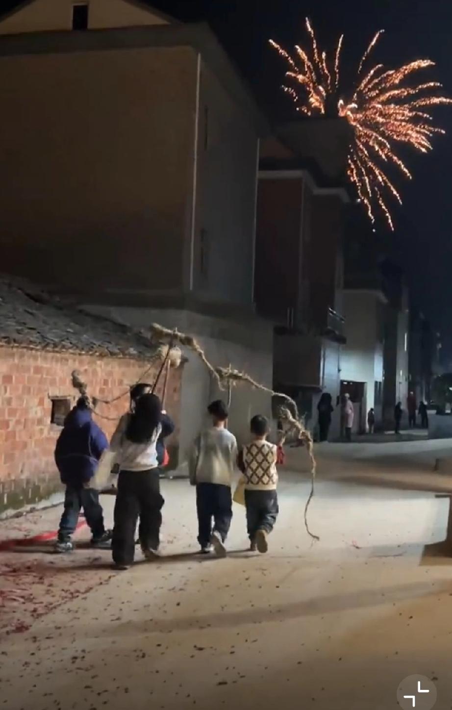 锣鼓喧天请不来的龙神，
在小巷子里，
陪一群孩子玩得正欢。 
代代传承的中国人。