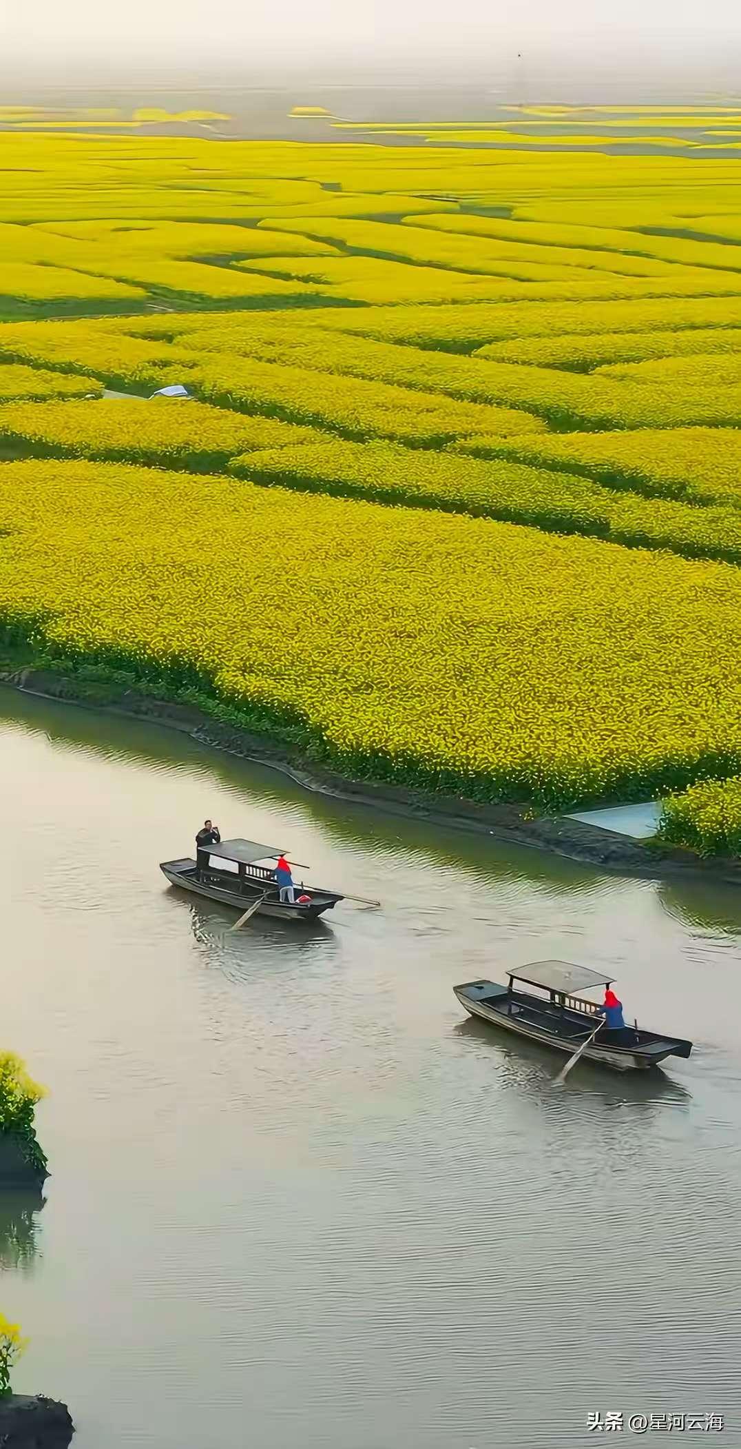 捣练子·春景
春水暖，菜花黄。
十里晴川映暗香。
柳岸清风随步远，
山河如画入诗