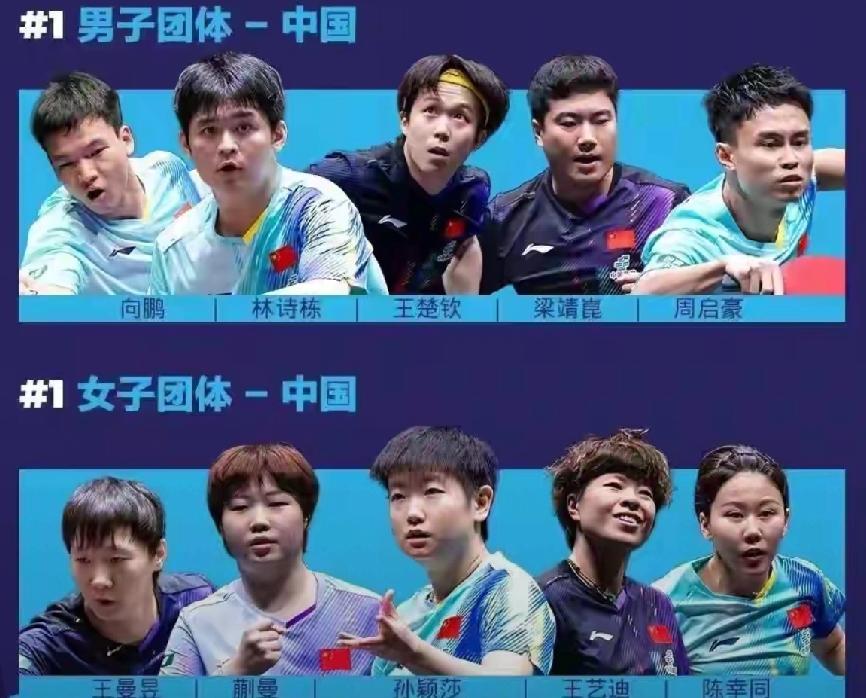 《除非退役，否则必须为国征战！》
     伦敦世乒在即。因樊振东退赛，使国乒遇