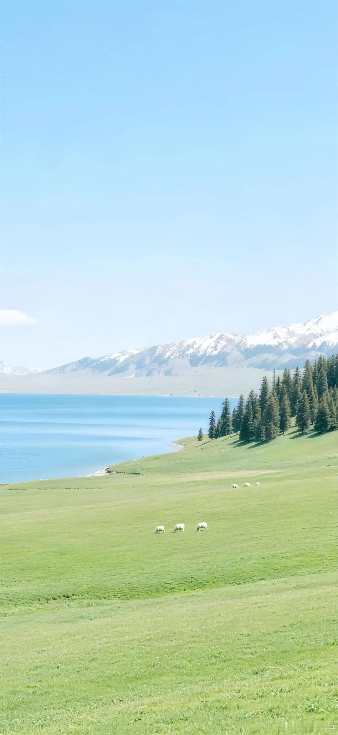 放弃不难，但坚持很酷。——东野圭吾 