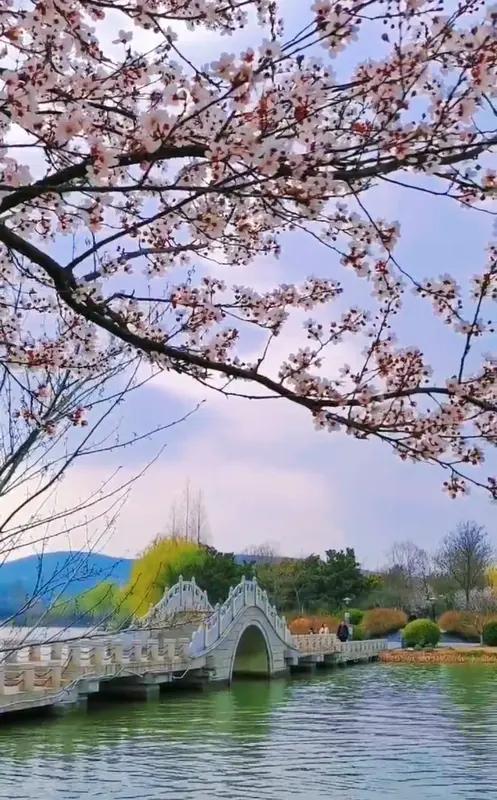 阳春颂
东风送暖越江来，昨夜梨花含露开。
紫燕双翔穿柳岸，黄莺百啭下瑶台。
田园