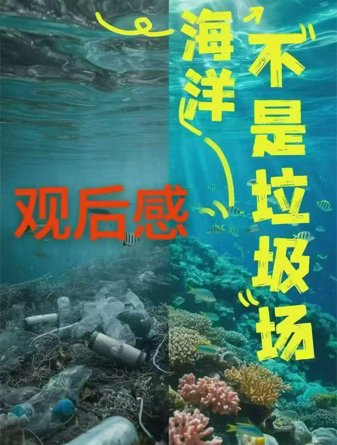 分享图片 