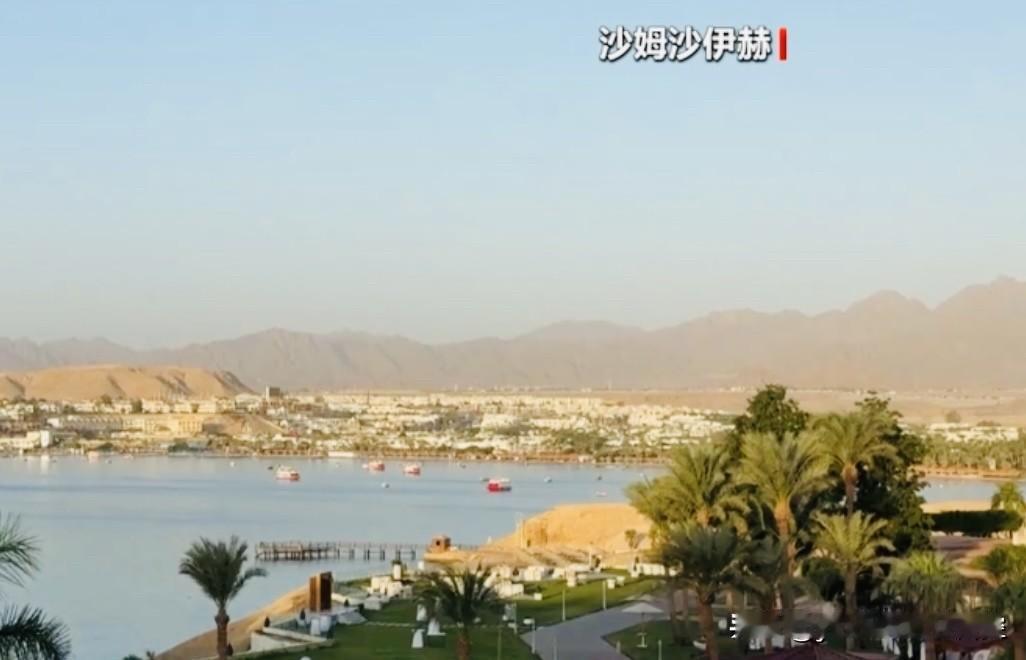 【卡塔尔首相和土耳其加入停火谈判】
    卡塔尔和土耳其一直是哈马斯海外机构的