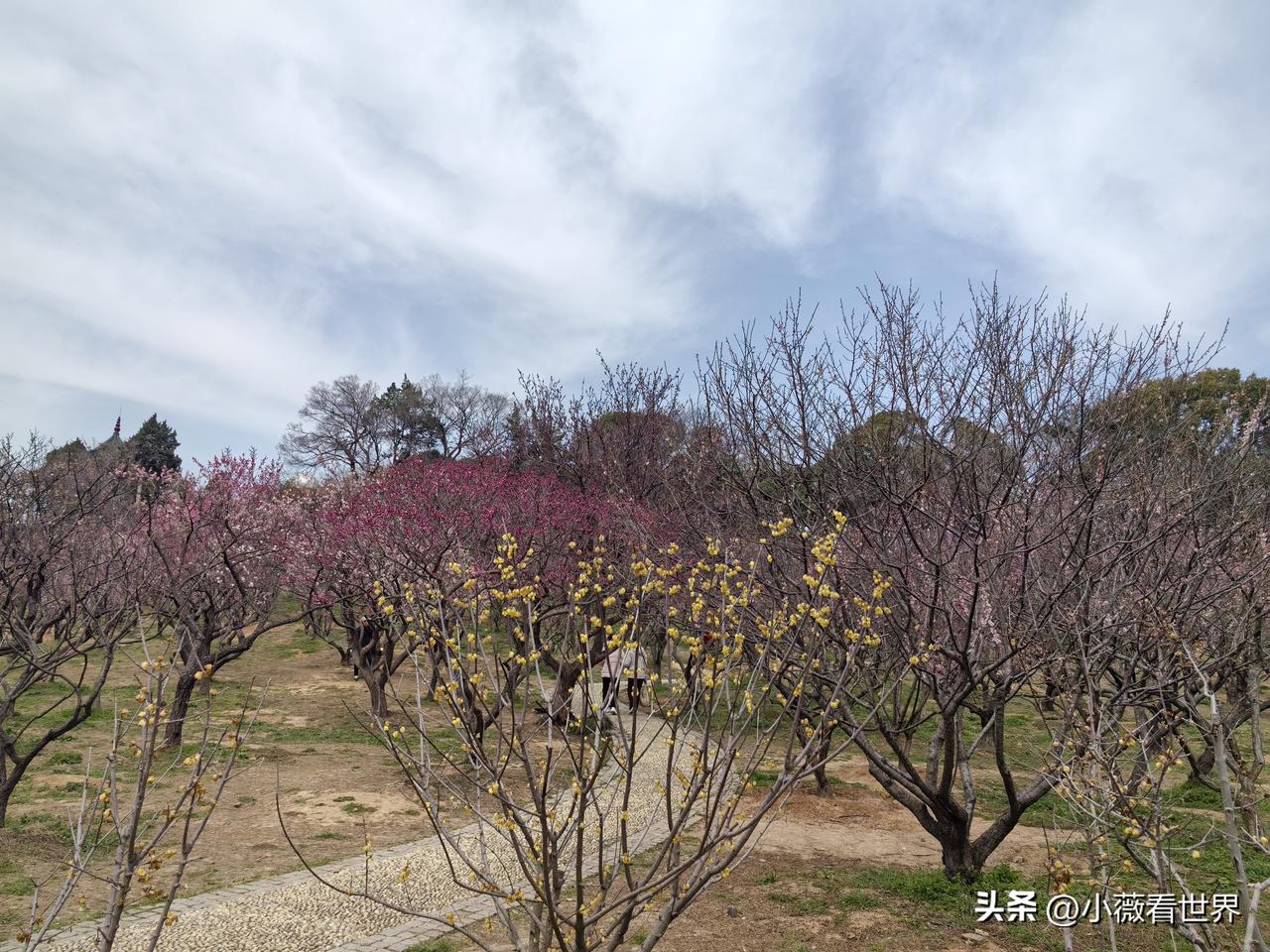 上午的时候，突然听到一个噩耗，说我大伯母的三弟突然去世了！

关键还在去厦门旅游