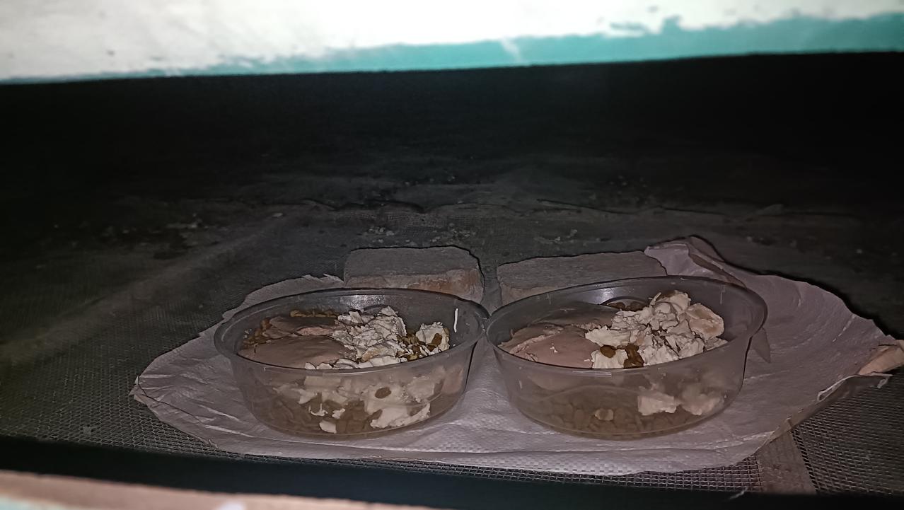 今晚去喂偏远山区厂里的流浪猫，投喂点所有的食物都吃光了，水碗也空了不少，看来上次