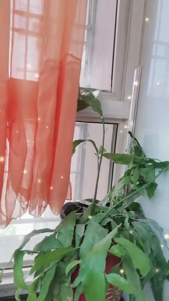 马上就到五一了，全国放假五天却不包括我。我的生活没有假期，也没有四季，只有两季。