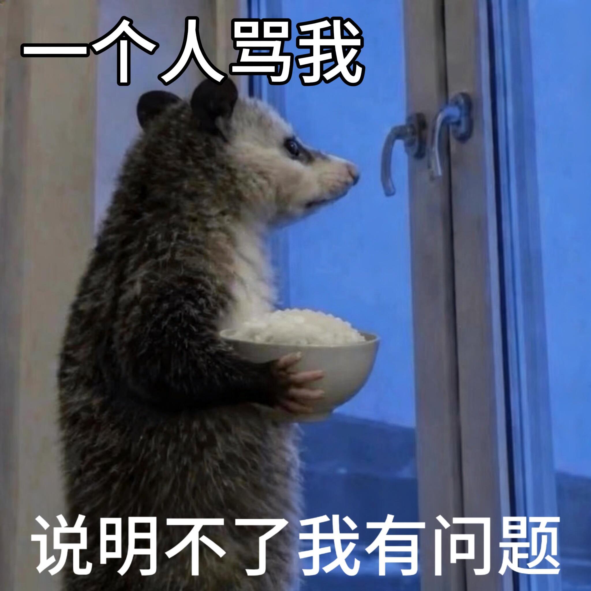 有长进对hz的态度