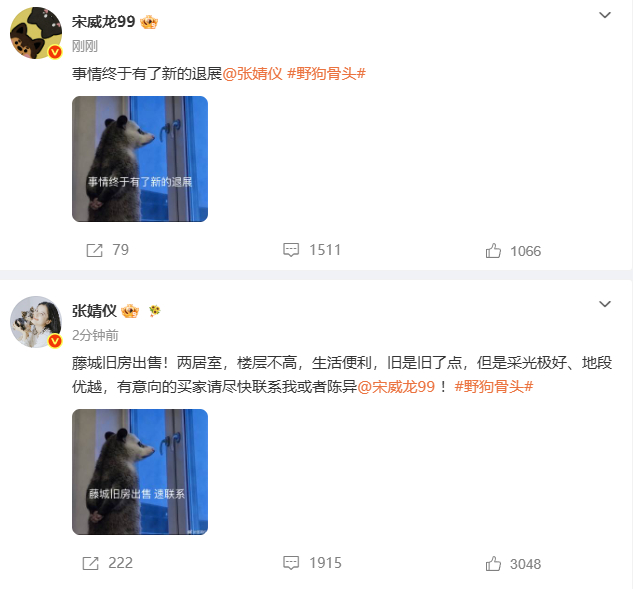 宋威龙终于有了新的退展张婧仪藤城旧房出售宋威龙终于有了新的退展，算了算了我来你们