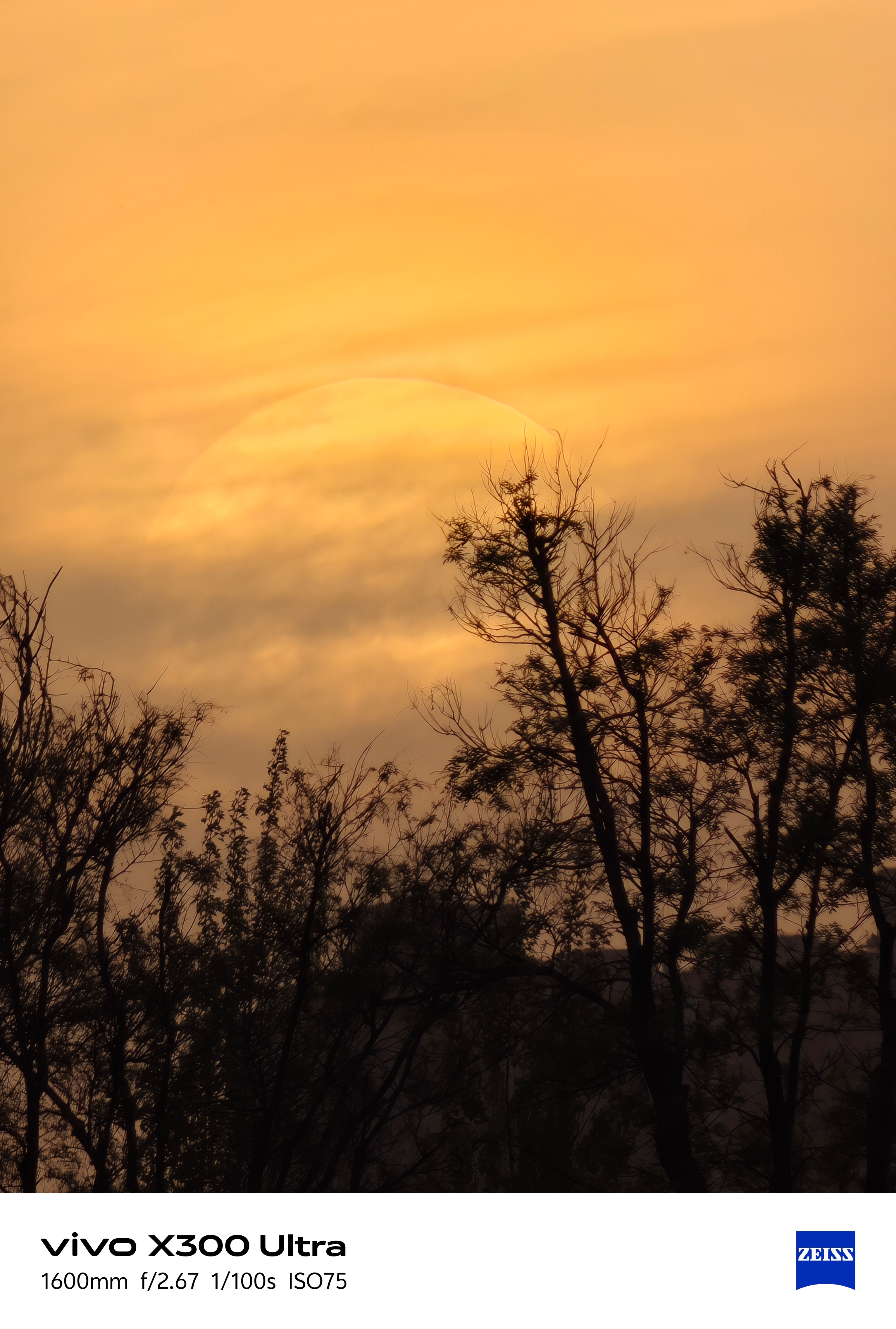 x300Ultra影像实力强不强直接看样片吧！ 