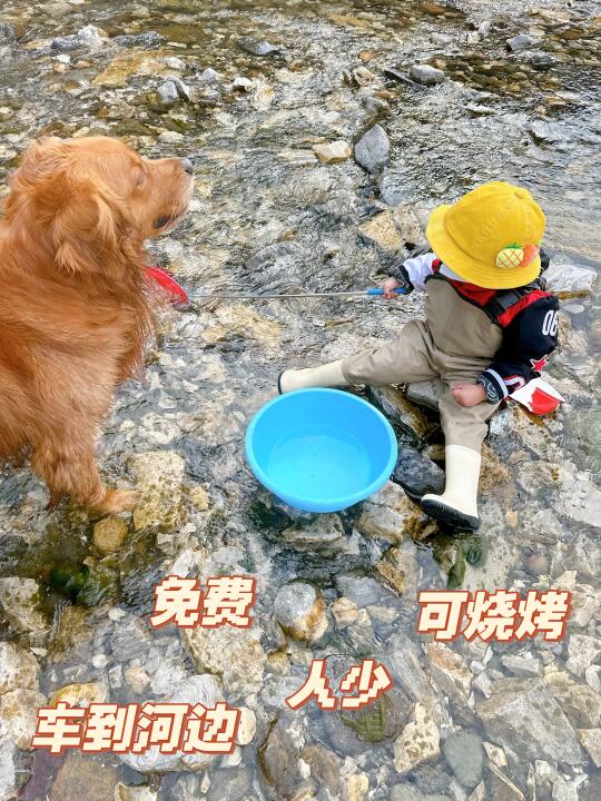京郊露营世外桃源🥰敲重点：免费‼️