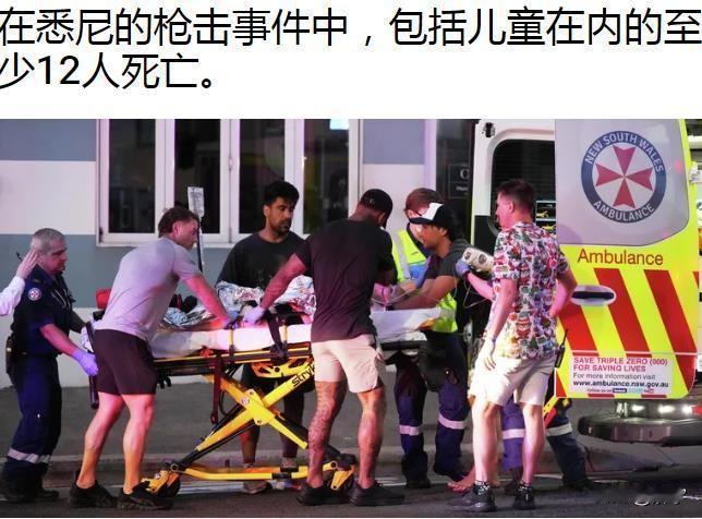 悉尼枪击事件最新消息：枪手确认为3人！

悉尼枪击事件已致12人死亡，其中包含儿