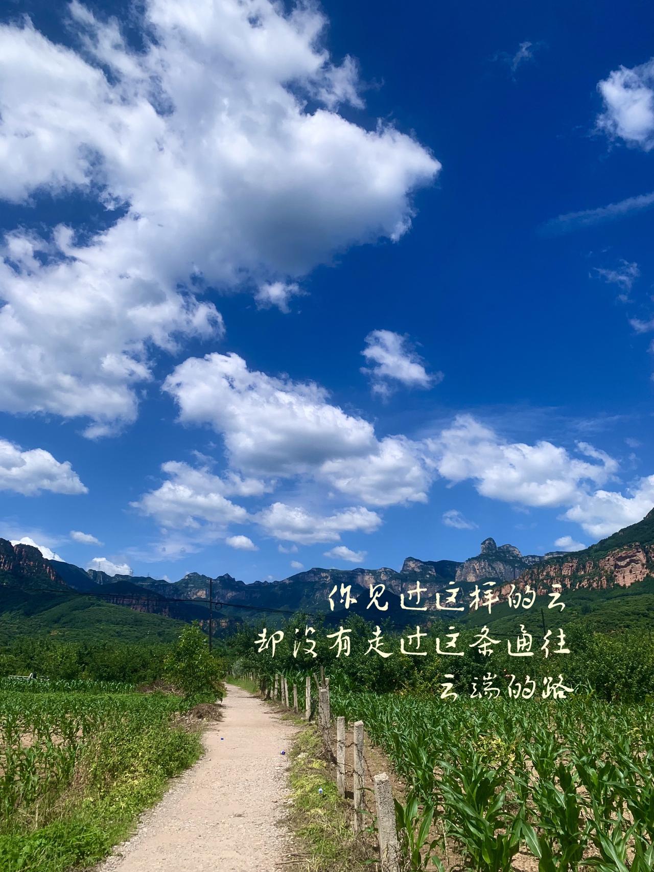 碰上了就拍个照，配上仙乐享受生活。@原创视频 抖音玩法达人中心 伙伴图文计划
