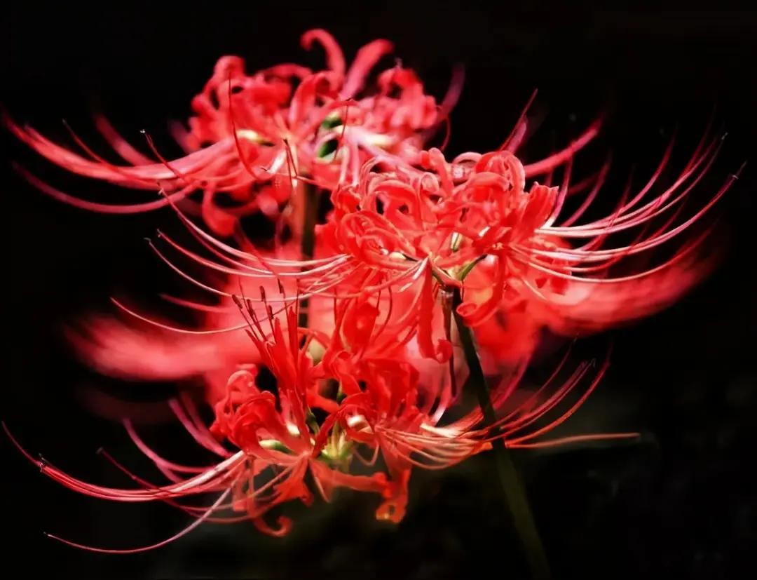 试着对一下联：
静待鲜花开满山。
看到“笑看红尘多少事”这个上联，瞬间来了兴致。