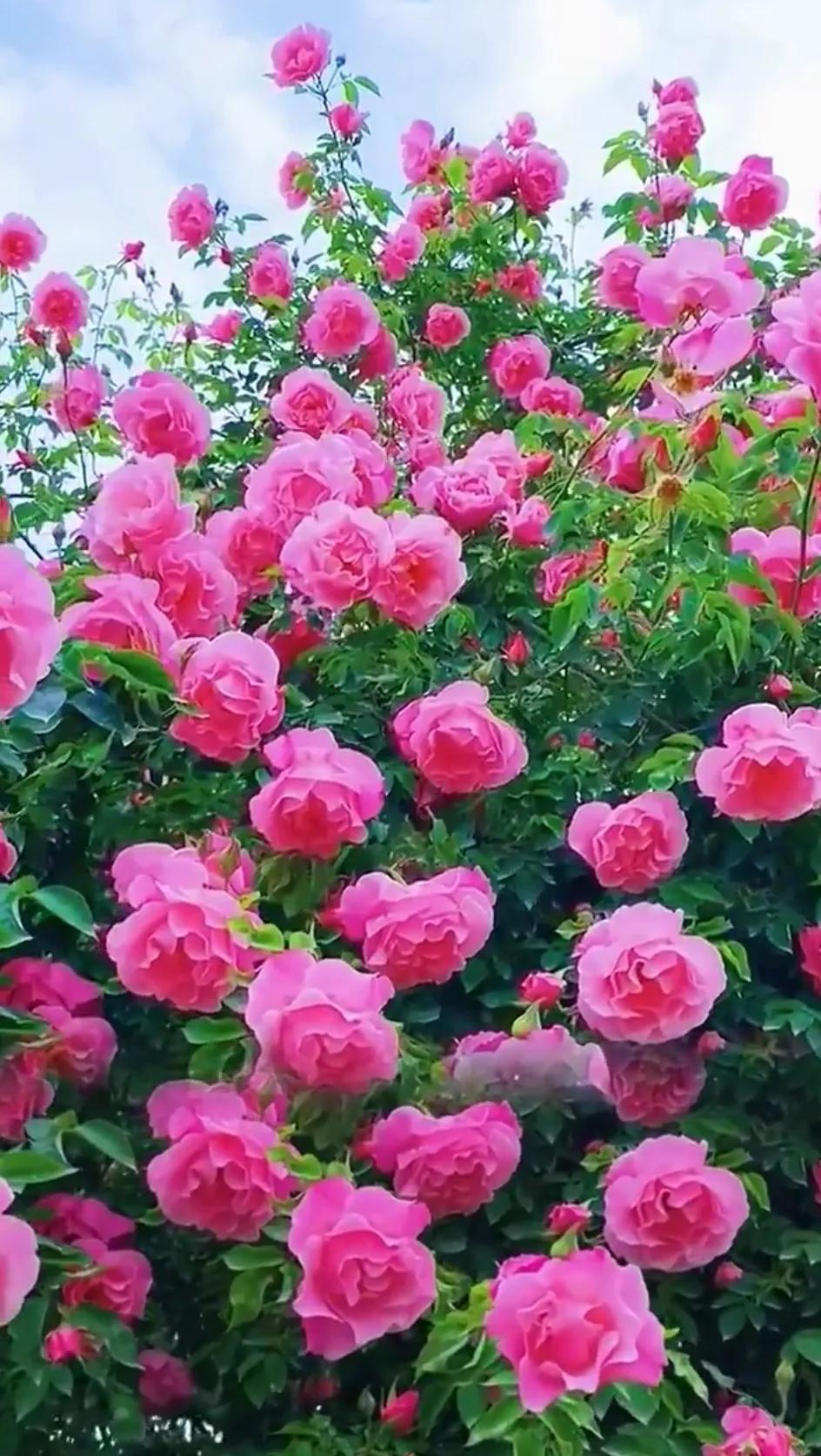 周二上午权重股发力，留意题材轮动节奏！
周二上午，大A延续周一强势，继续向上进攻