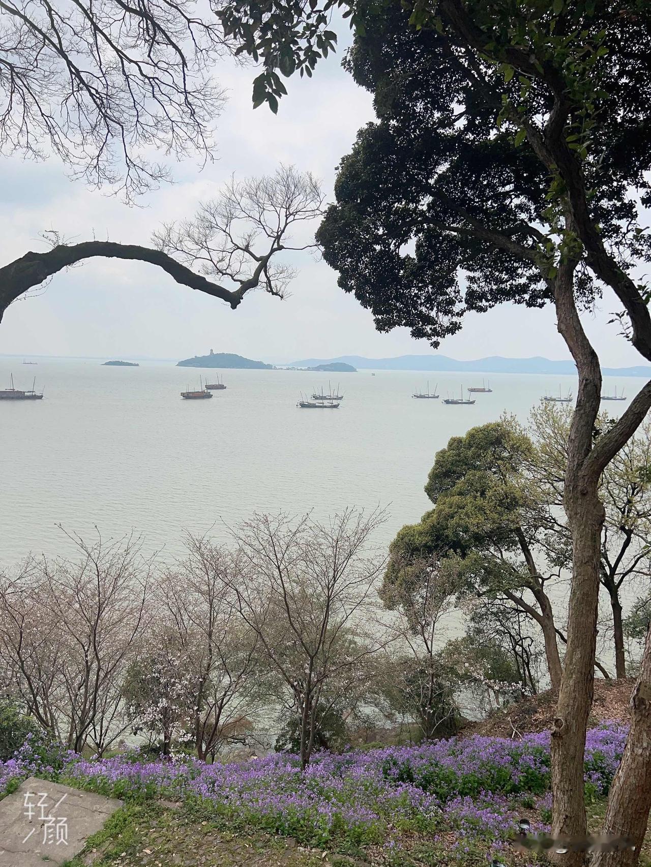 真是又气又心疼！邻居老两口捡烂鱼吃，双双中毒送医院抢救

邻居张大爷张大妈都快8