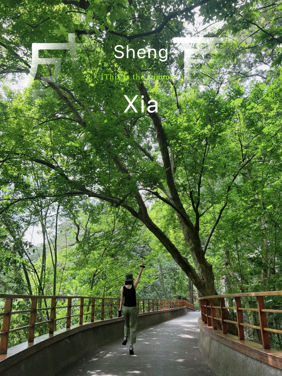 🌟佛境净化心灵 北温泉徒步奇遇