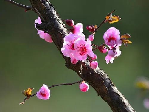 周一上午，一则重磅利好消息突如其来，这一板块有望乘风而起，站上风口！
周一午间收