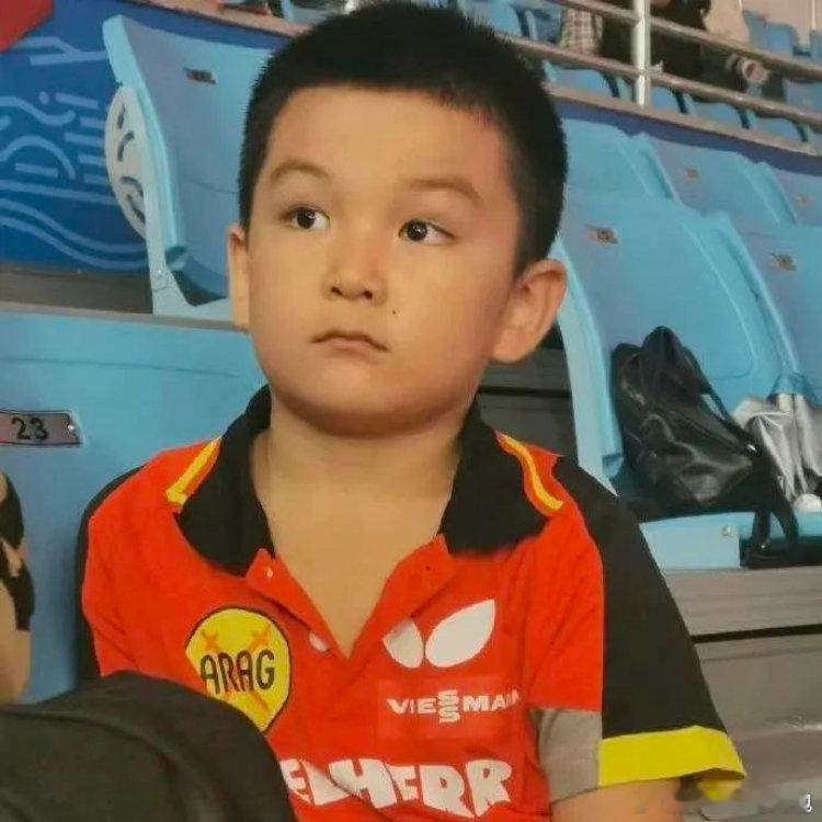 樊振东的每一道弧线都是热爱的勋章 从青涩少年到乒乓传奇，樊振东的每一步都镌刻着拼