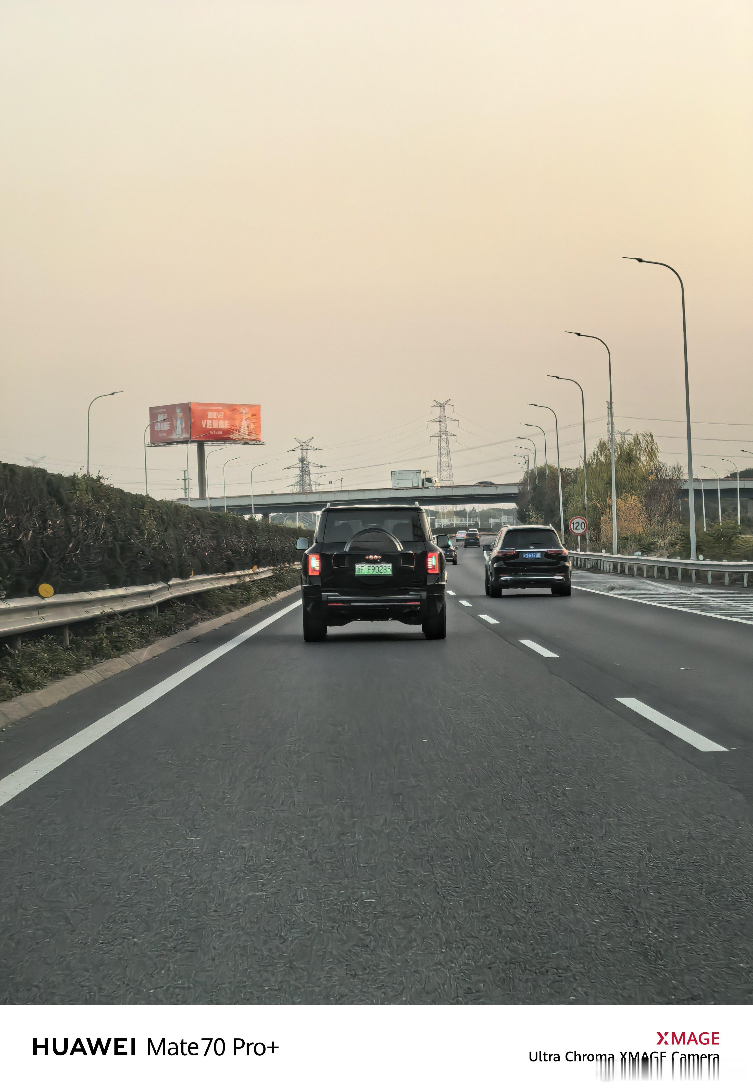 第一次遇到这位小蓝灯搭子