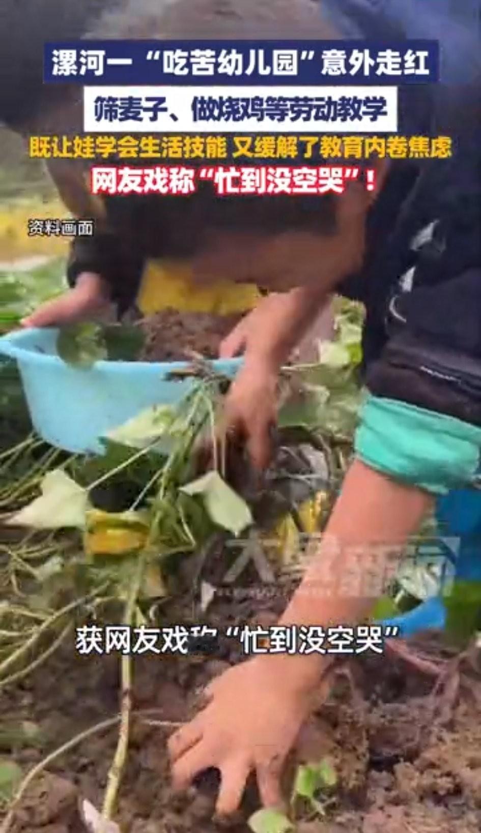 河南一所“吃苦幼儿园”最近彻底火了！ 
四五岁的娃娃们，不在教室里唱歌跳舞，反倒