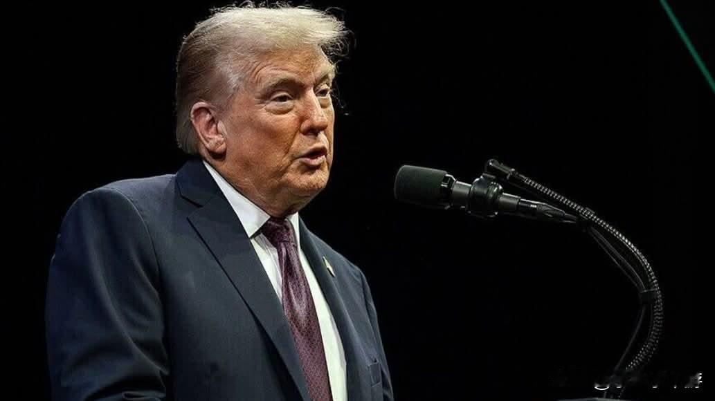 据外媒最新消息：美国总统特朗普已下令对尼日利亚西北部地区的伊斯兰国武装分子发起一