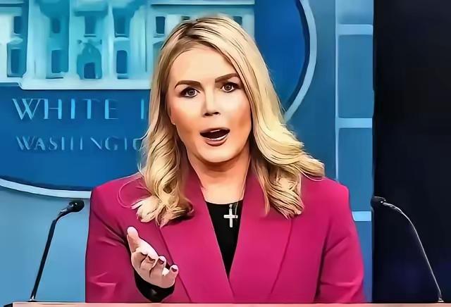 中日闹那么多天，躲在日本背后的第二条大鱼被我们钓了出来这条大鱼不是别的，正是一直