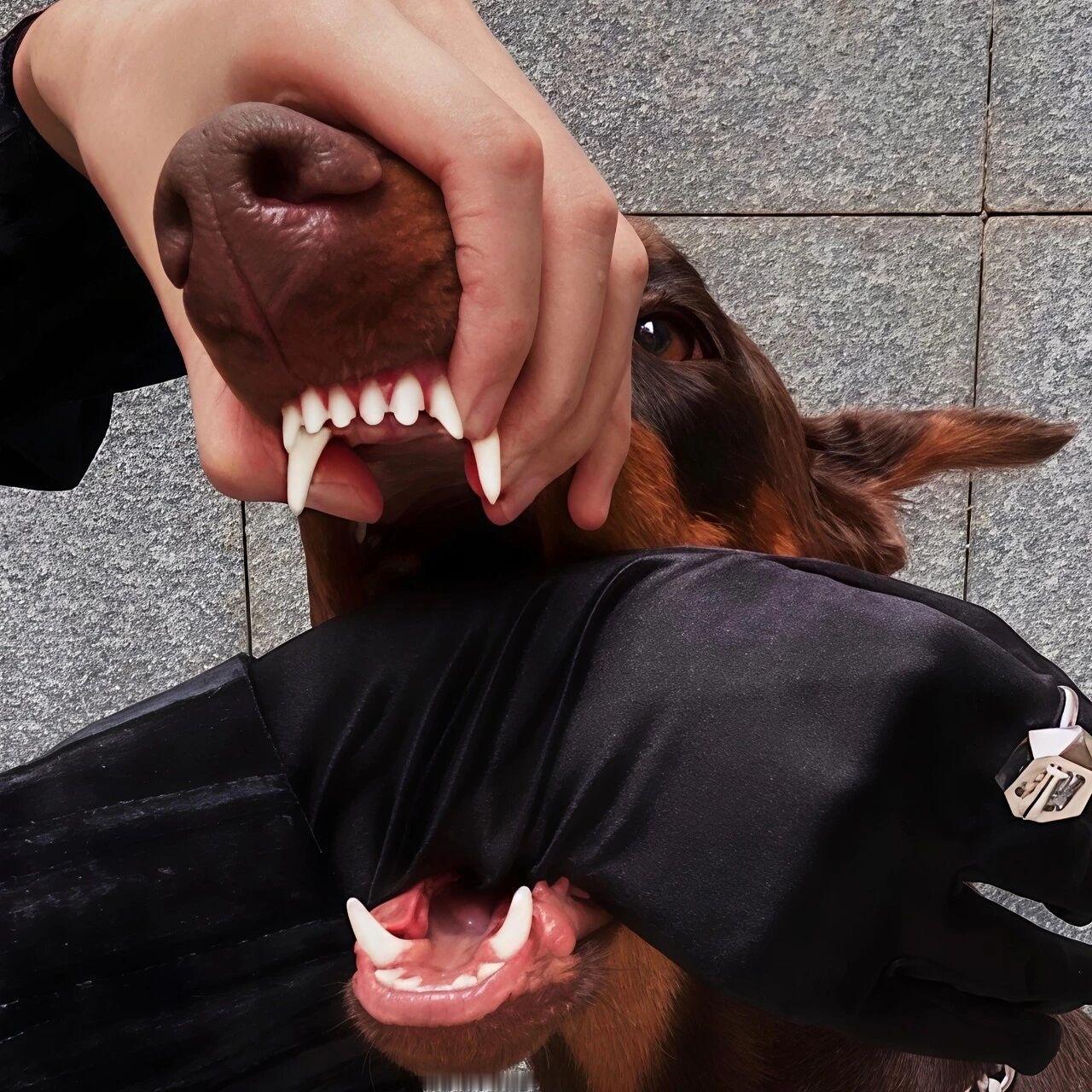 生活手记  有意见可以提，但我不一定听。 