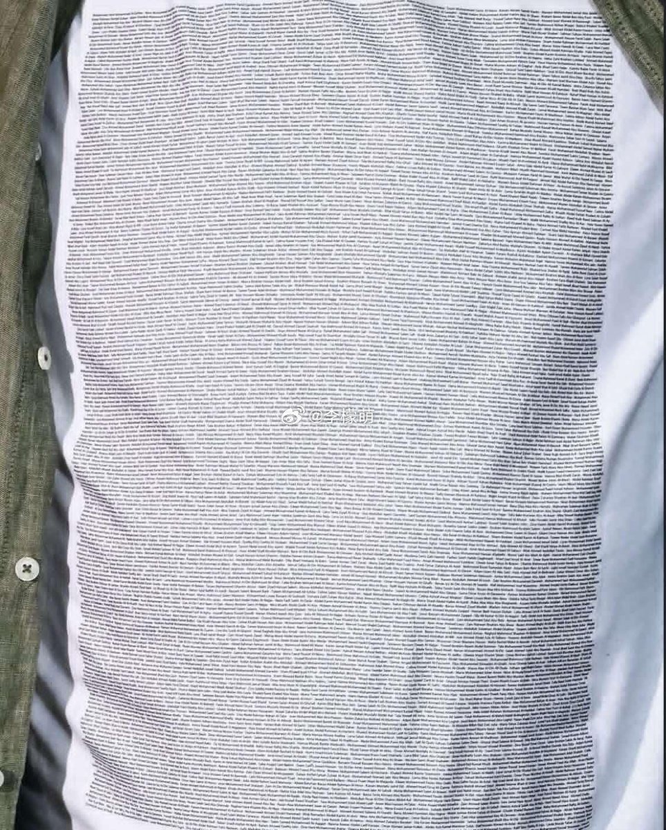 朱利安·阿桑奇在戛纳电影节上穿了一件T恤，上面印着 4986 名被以色列杀害的五