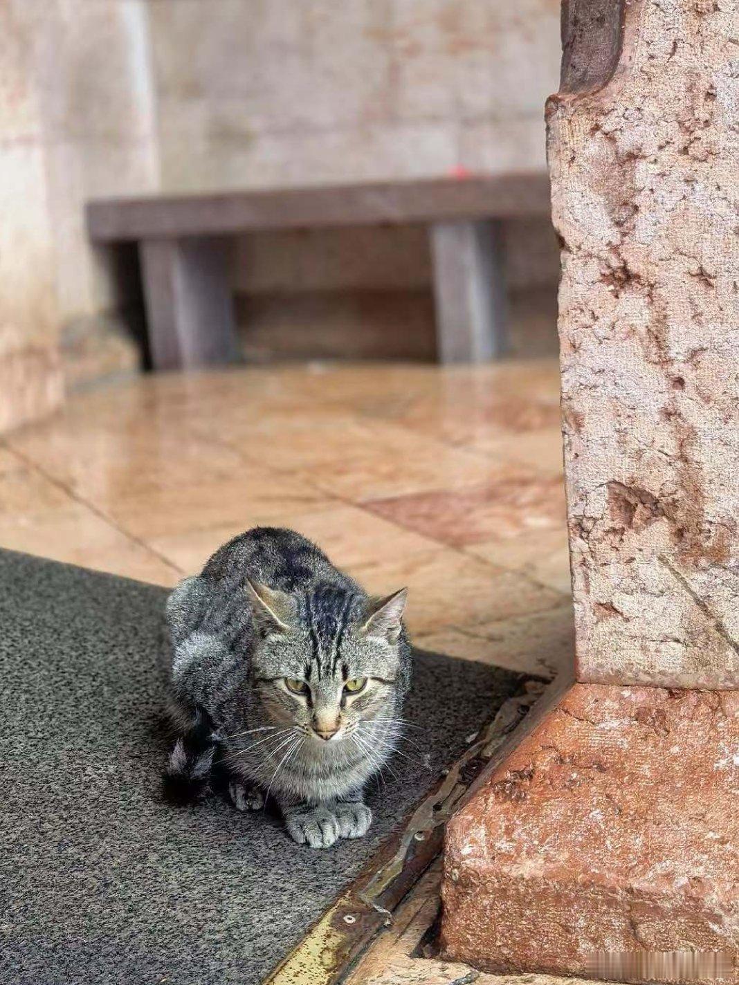 用眼睛寻找美丽 路上的风景：有蓝天白云，有花花草草，有人间百态……江南天天拍好摄