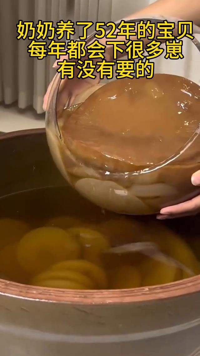 奶奶养了52年的宝贝，每年都会下很多崽，有没有要的？