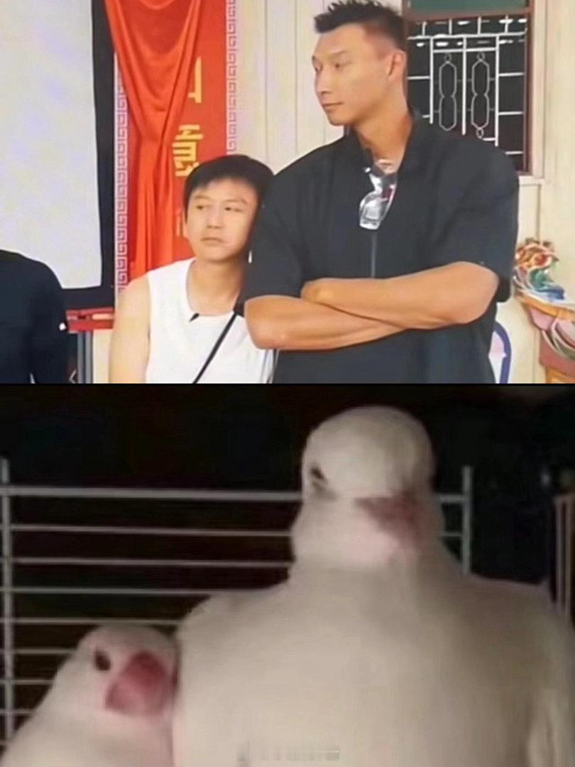 邓超也太逗了！在综艺里缩着脖子、歪头蹭人，一副“鸵鸟依人”的模样，又怂又萌，搞笑