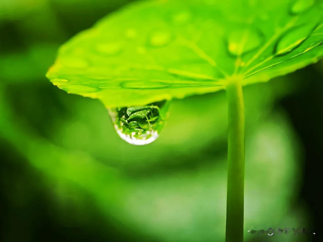 人到晚年，家里仍有健在的父母，是好事还是坏事？
这个问题是一个非常有趣的问题，我