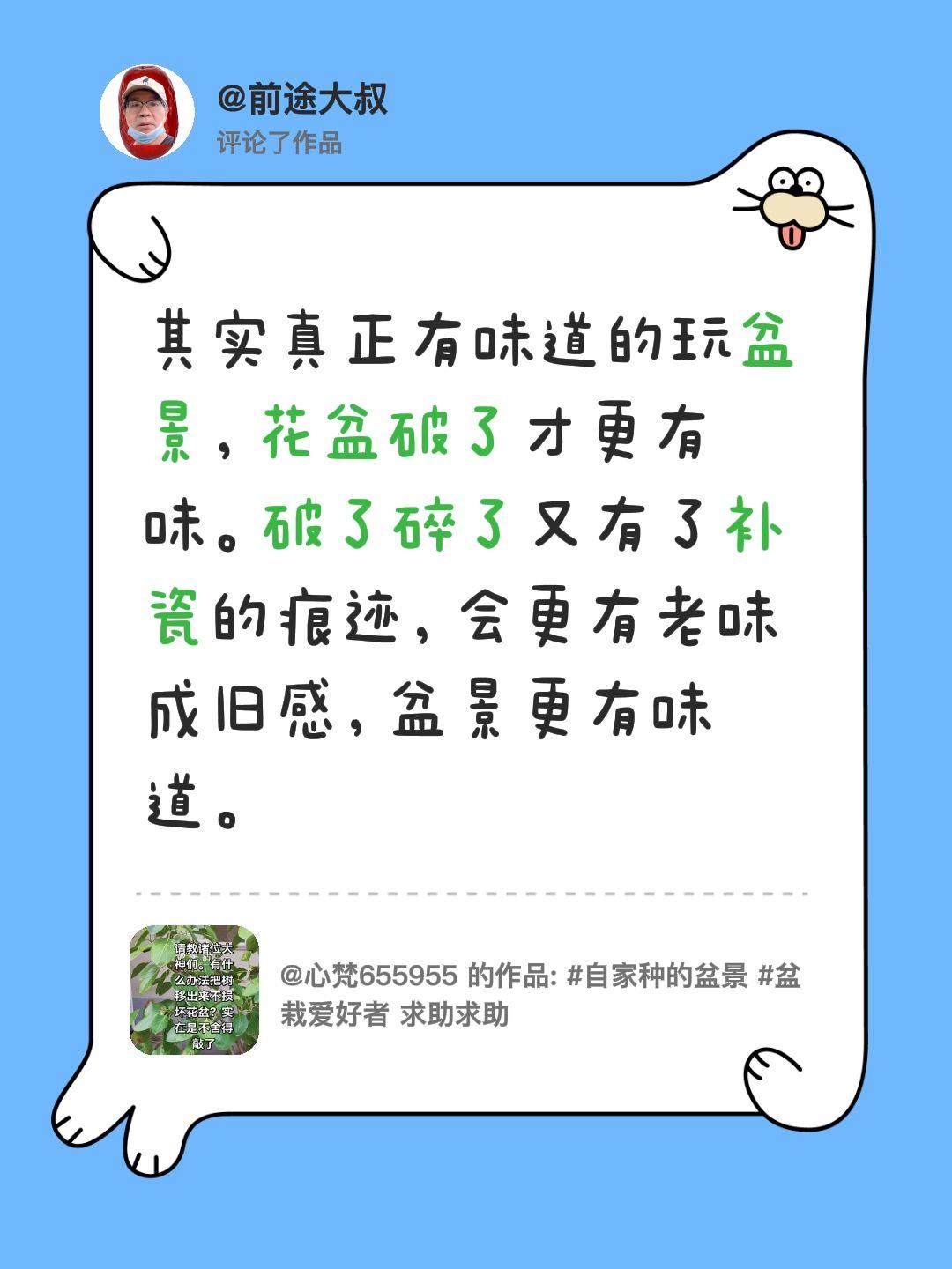 我评论了@心梵655955 的作品：
其实真正有味道的玩盆景，花盆破了才更有味。