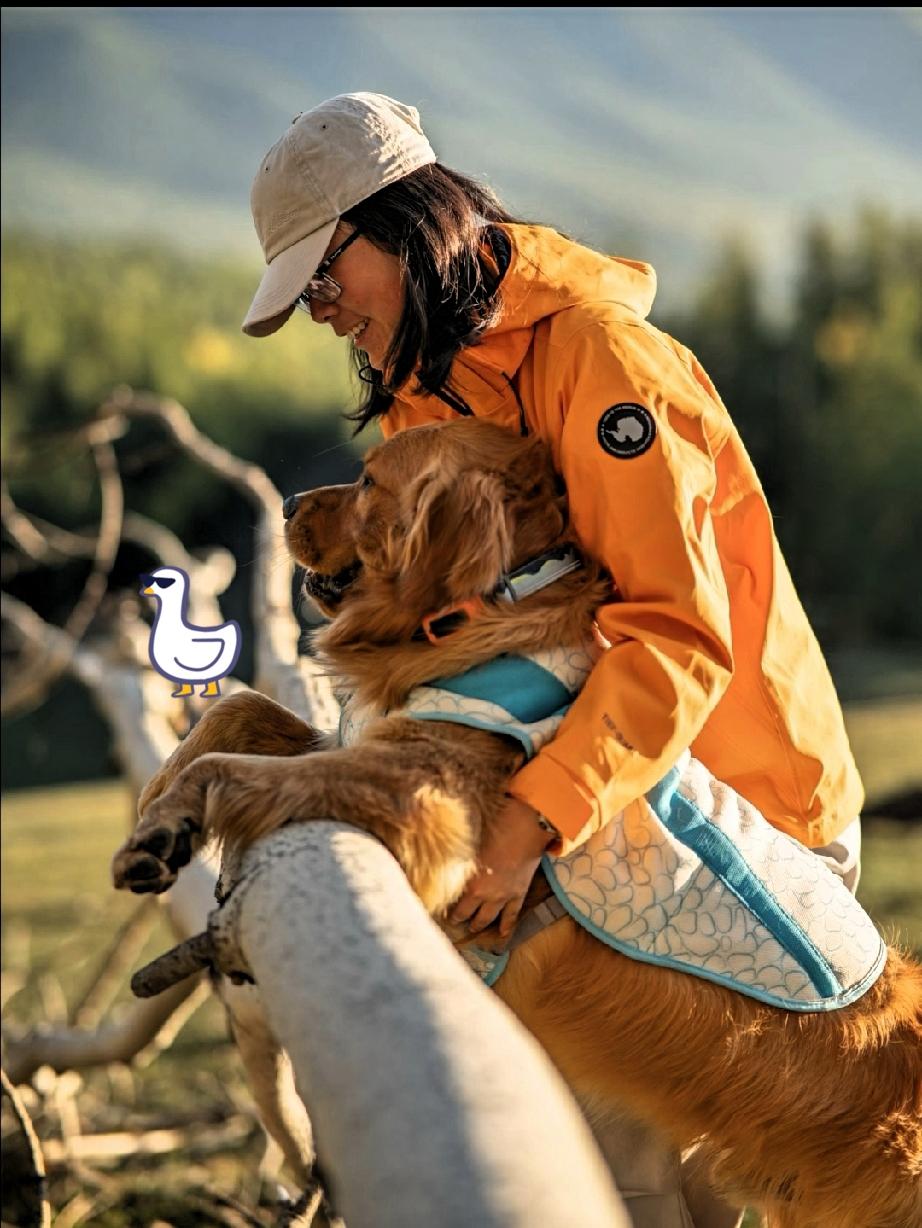 人生就是一个过程，
辛苦一辈子，也带不走分文。
一个人到了生死面前，人人平等。