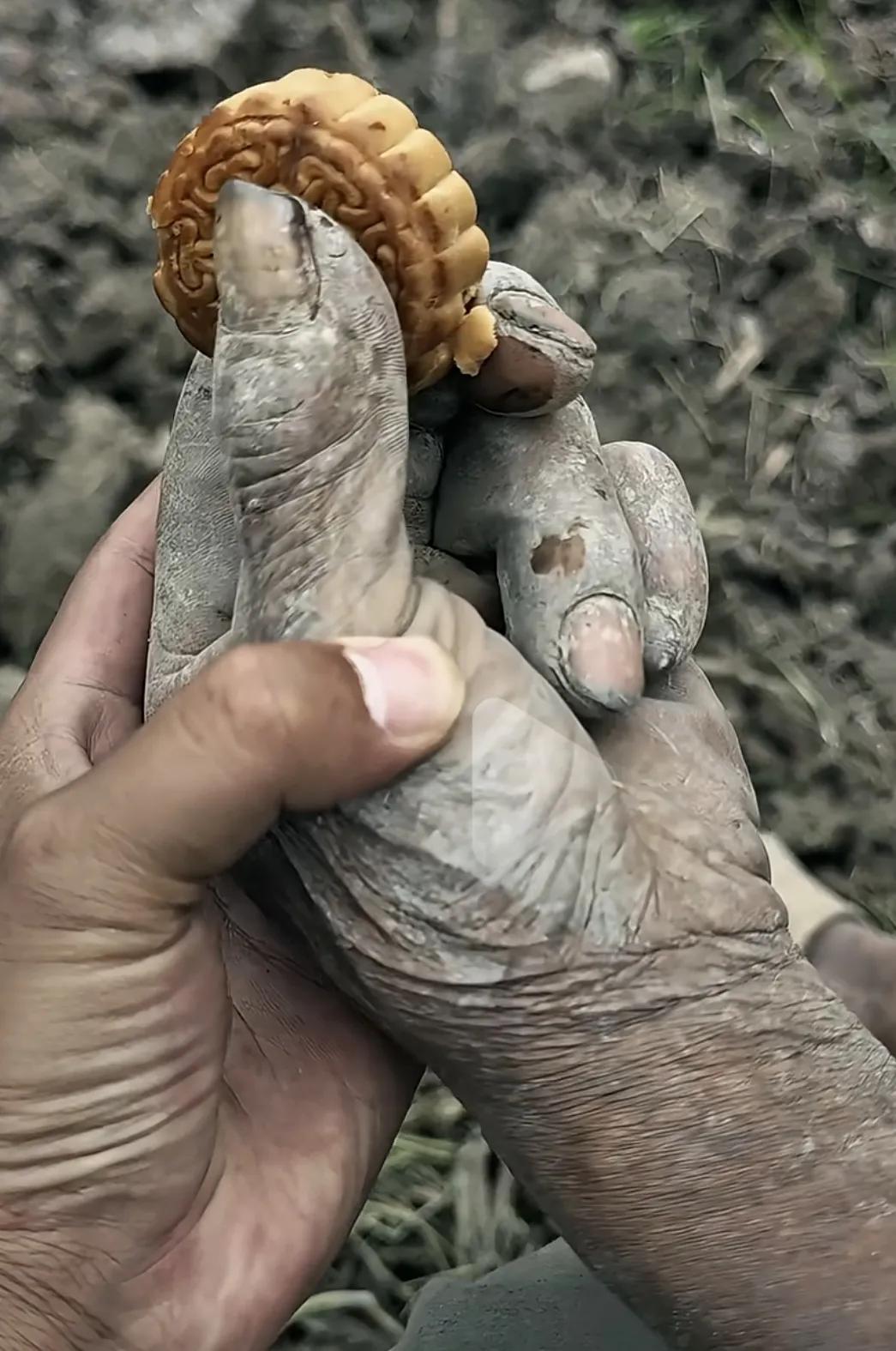 看北大有些教授说的话做的事，我就不明白，它们到底是层次高还是层次低？