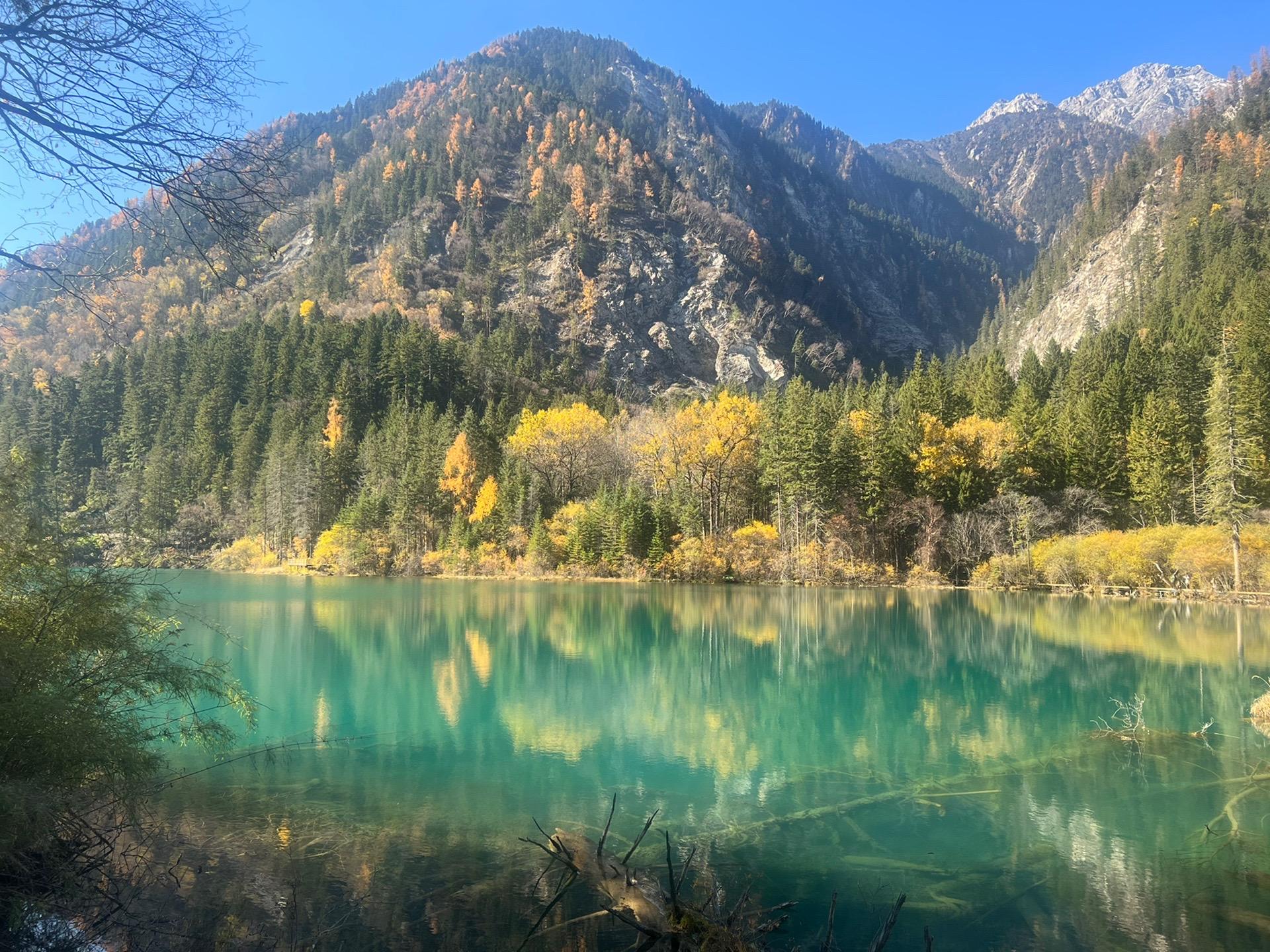九寨沟，天堂景，人间仙境，世外桃源，四川美境，九寨沟是最美。久疑寨，沟...