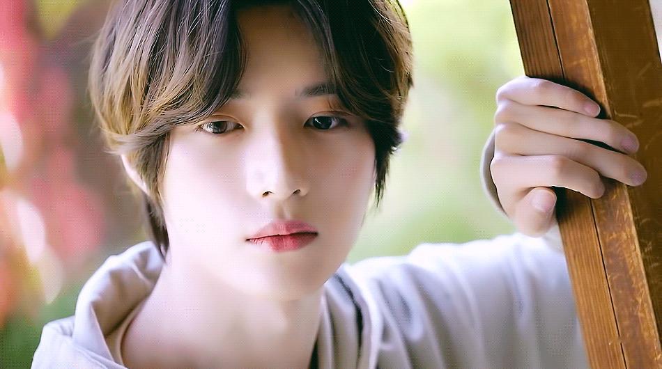 你是我不败的春天🐶🐱 