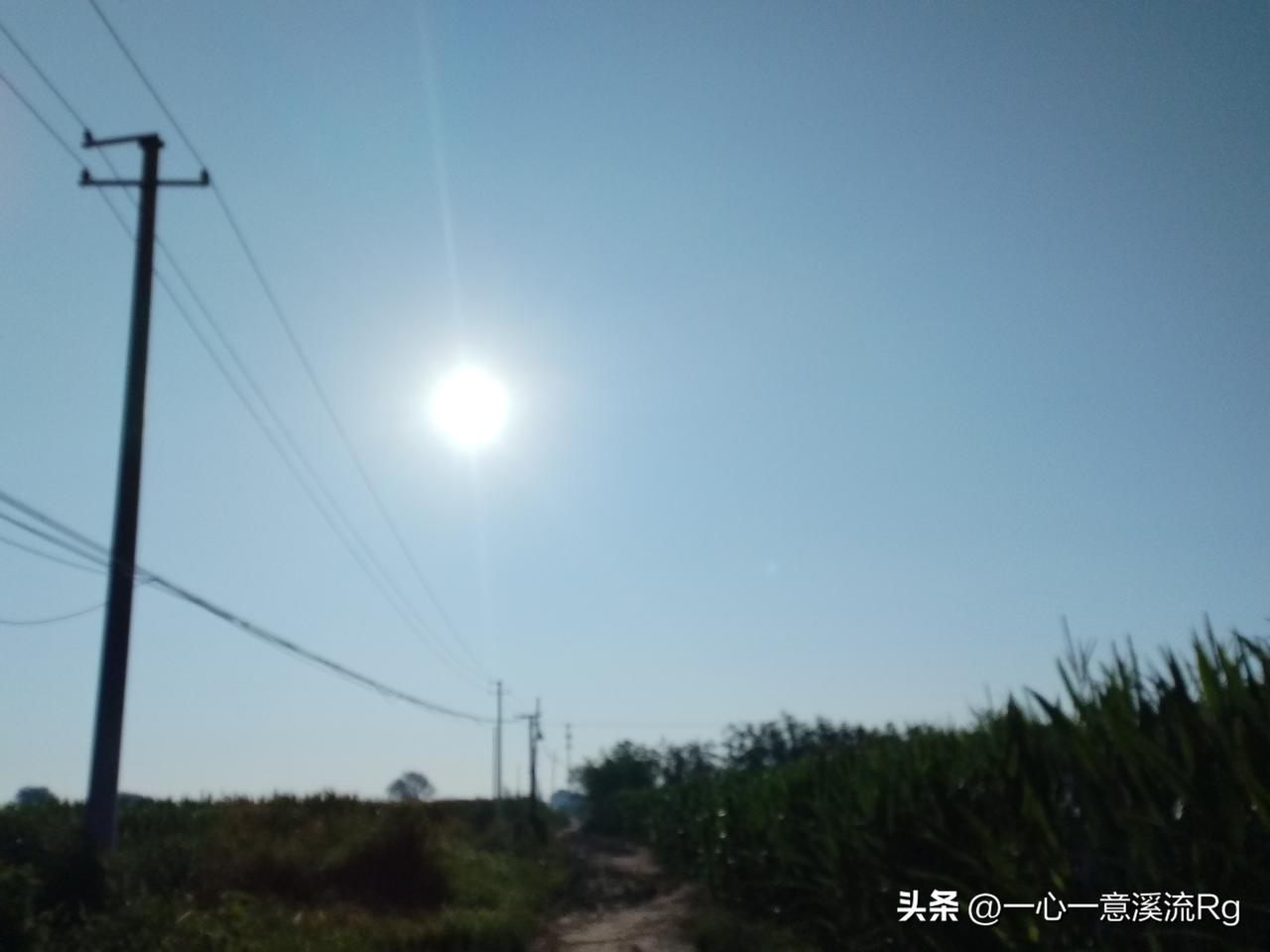 众友友中午好！
今天下班回家后，正赶上村里小集，老伴买来油条，配上儿子从哈尔滨邮