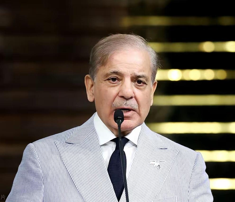 巴基斯坦投怀送抱，主动给美国送稀土，中方宣布制裁巴铁境内组织
 
先把最关键的事