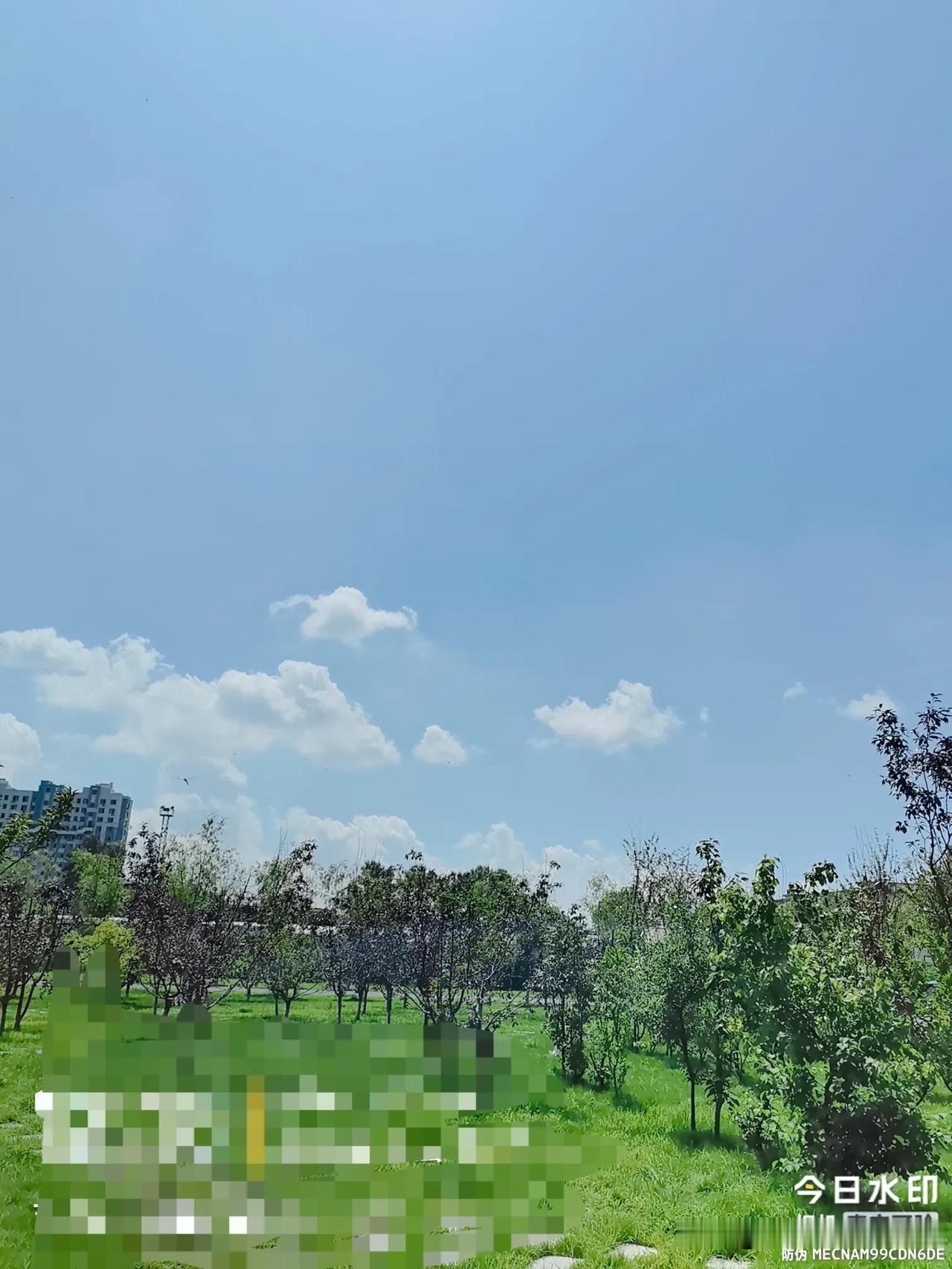 我们单位新来的一把手，应该是最体贴下属的领导，没有之一
        我工作的