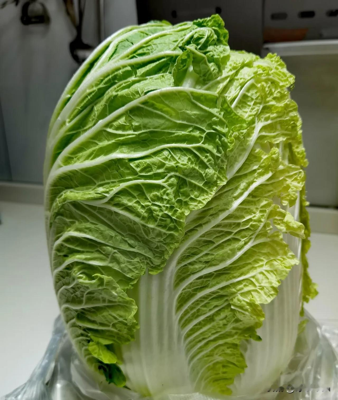 早上去超市买菜，
逛了一圈，
发现冬季的蔬菜除了大白菜，其他菜都挺贵的。

这家